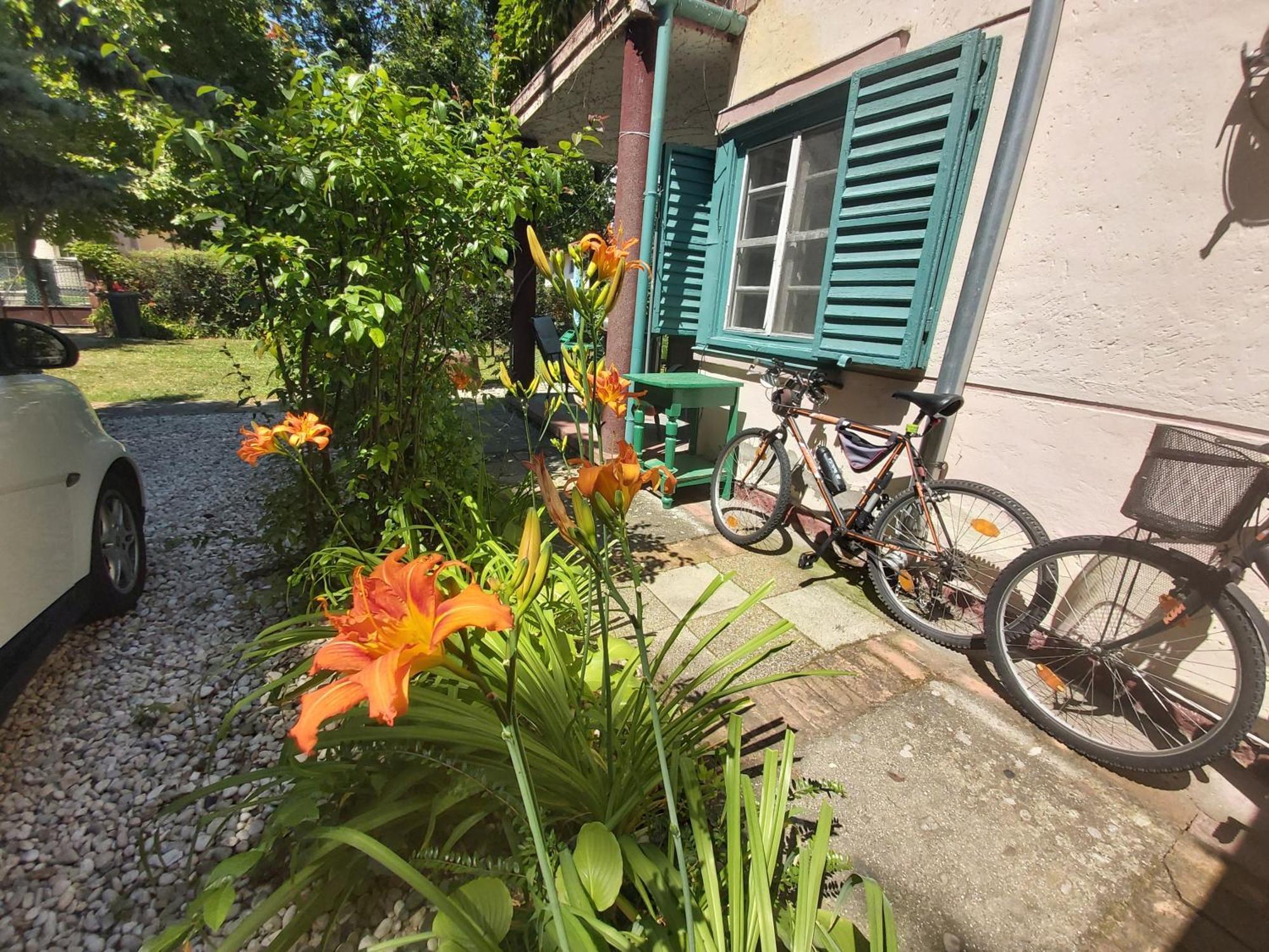 Garden Budha Relax Apartman, Parking, Bbq, Terrace Шиофок Экстерьер фото