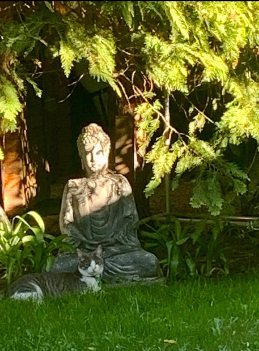 Garden Budha Relax Apartman, Parking, Bbq, Terrace Шиофок Экстерьер фото